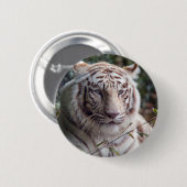 White Bengal Tiger Ronde Button 5,7 Cm (Voorkant /achterkant)