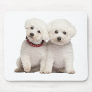 White Bichon Frise Puppy Dog Computer Mousepad Muismat