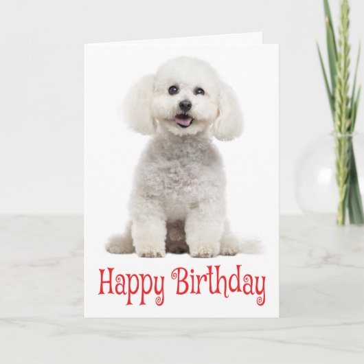 White Bichon Frise Puppy Dog Red Happy Birthday Kaart (Voorkant)