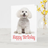 White Bichon Frise Puppy Dog Red Happy Birthday Kaart (Gele Bloem)