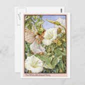 White Bindweed Fairy Briefkaart (Voorkant / Achterkant)