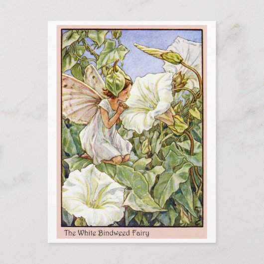 White Bindweed Fairy Briefkaart (Voorkant)