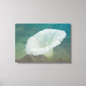 White Bindweed - Wild Perennial Morning Glory Canvas Afdruk (Voorkant)
