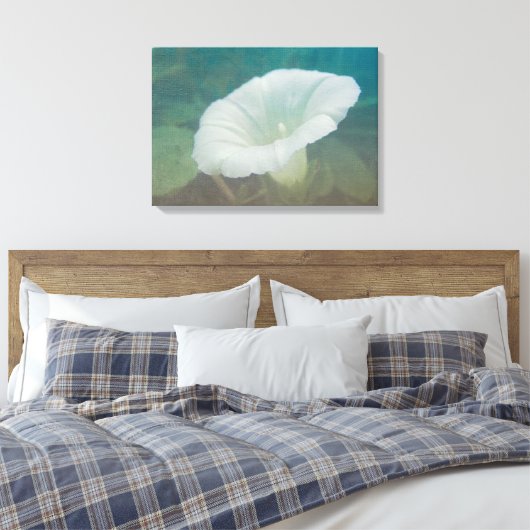 White Bindweed - Wild Perennial Morning Glory Canvas Afdruk (Insitu (Slaapkamer))