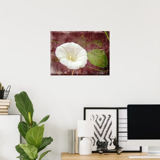 White Bindweed - Wild Perennial Morning Glory Poster (Thuiskantoor)