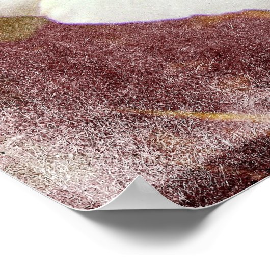 White Bindweed - Wild Perennial Morning Glory Poster (Hoek)