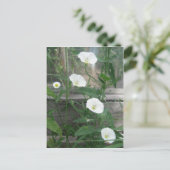 White Bindweeds Briefkaart (Staand voorkant)