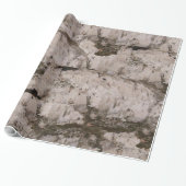White Birch Bark Cadeaupapier (Uitgerold)