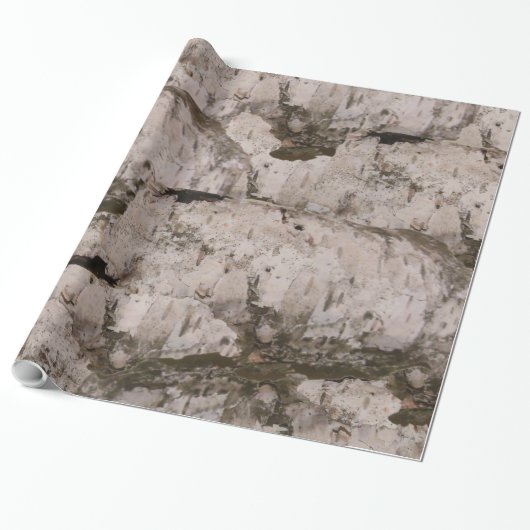 White Birch Bark Cadeaupapier (Uitgerold)