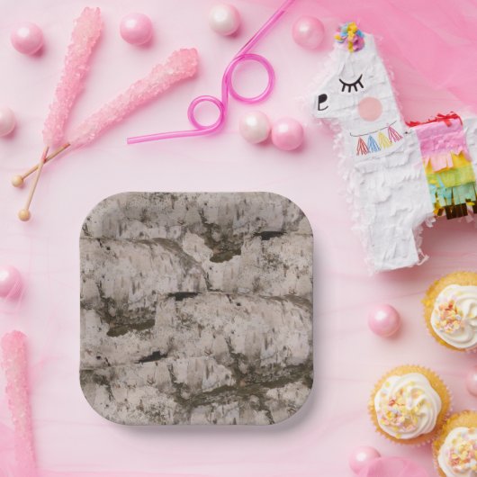 White Birch Bark Papieren Bordje (Feest)