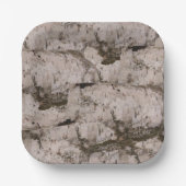 White Birch Bark Papieren Bordje (Voorkant)