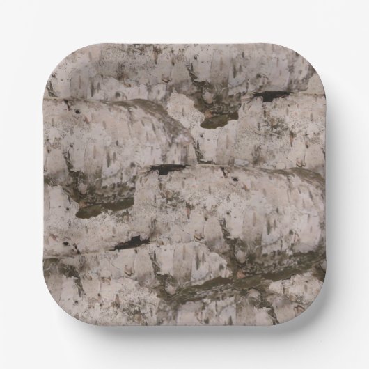 White Birch Bark Papieren Bordje (Voorkant)