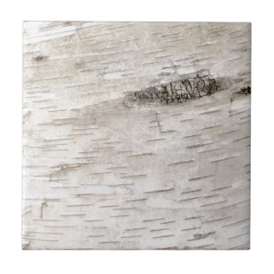 White Birch Bark Tegeltje