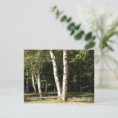 White Birch Briefkaart (Staand voorkant)