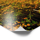 White Birch & Gold Foto Afdruk (Hoek)