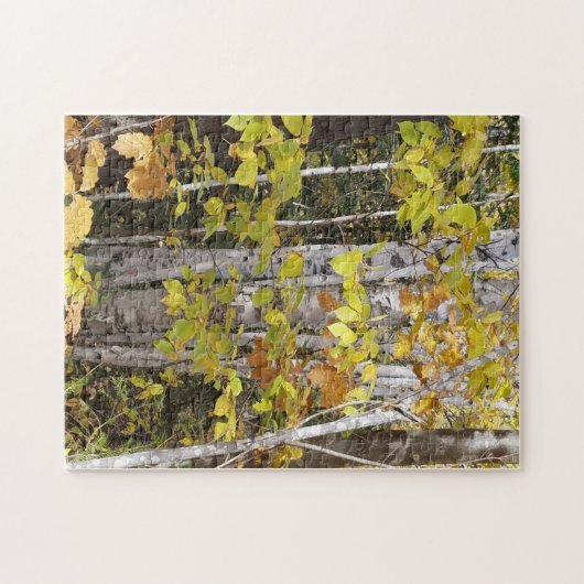 White Birch in Autumn Legpuzzel (Horizontaal)