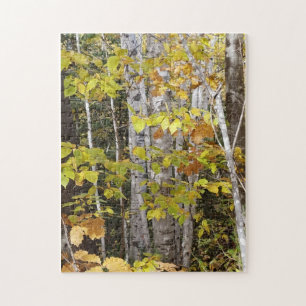 White Birch in Autumn Legpuzzel
