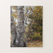 White Birch in Autumn Legpuzzel (Verticaal)