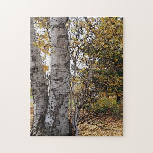 White Birch in Autumn Legpuzzel (Verticaal)