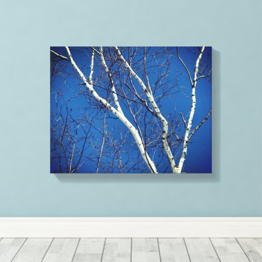 White Birch Tree against Blue Sky Natuur Canvas Afdruk (Insitu (Houten vloer))