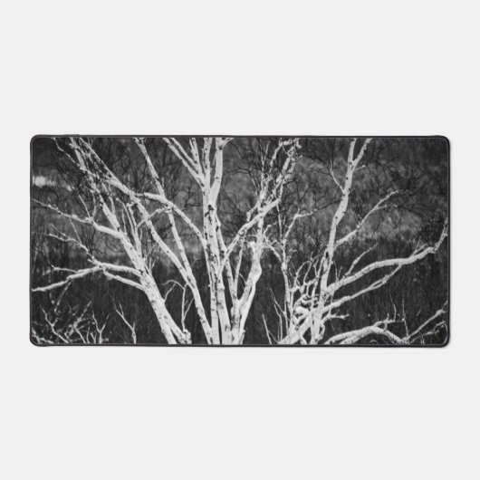 White Birch Tree in Winter Black en White Photo Bureaumat (Voorkant)