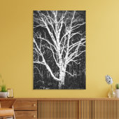 White Birch Tree in Winter Black en White Photo Canvas Afdruk (Insitu (Woonkamer))