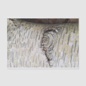 White Birch Tree Tissuepapier (Voorkant)