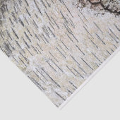 White Birch Tree Tissuepapier (Detail)