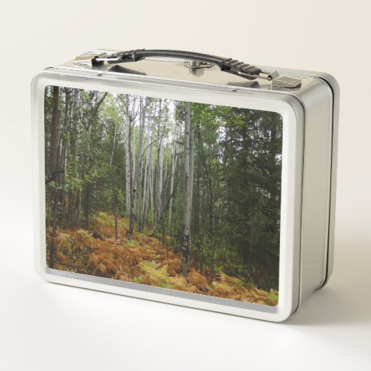White Birch Trees and Herfst Ferns in Rocky Mounta (Achterkant)