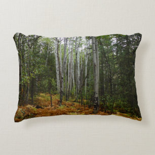 White Birch Trees and Herfst Ferns in Rocky Mounta Accent Kussen