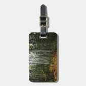 White Birch Trees and Herfst Ferns in Rocky Mounta Bagagelabel (Voorkant verticaal)