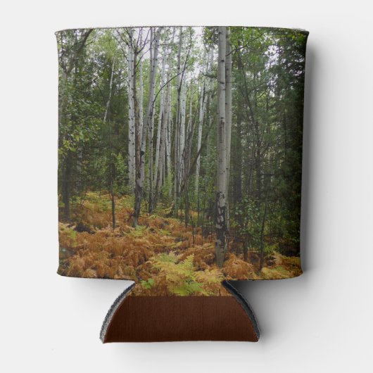 White Birch Trees and Herfst Ferns in Rocky Mounta Blikjeskoeler (Voorkant)