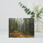 White Birch Trees and Herfst Ferns in Rocky Mounta Briefkaart (Staand voorkant)