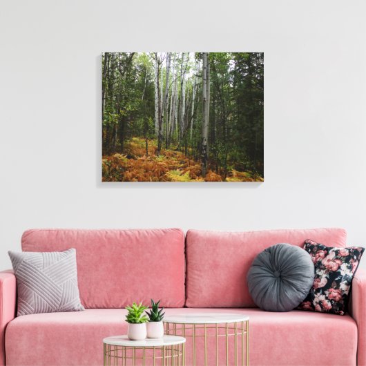 White Birch Trees and Herfst Ferns in Rocky Mounta Canvas Afdruk (Insitu (Woonkamer))