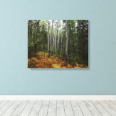 White Birch Trees and Herfst Ferns in Rocky Mounta Canvas Afdruk (Insitu (Houten vloer))