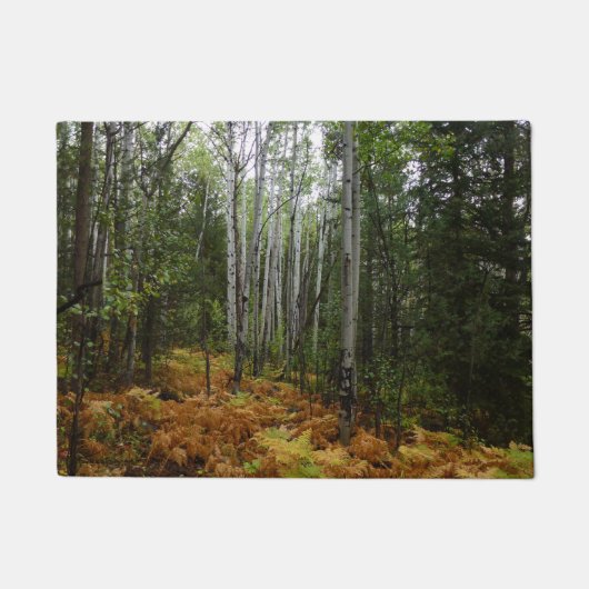White Birch Trees and Herfst Ferns in Rocky Mounta Deurmat (Voorkant)