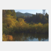 White Birch Trees and Herfst Ferns in Rocky Mounta Inpakpapier Vel (Voorkant 2)