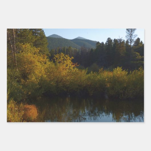 White Birch Trees and Herfst Ferns in Rocky Mounta Inpakpapier Vel (Voorkant 2)