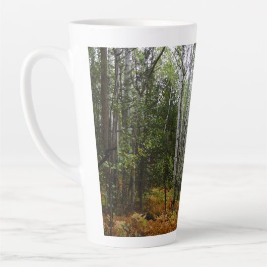 White Birch Trees and Herfst Ferns in Rocky Mounta Latte Mok (Links)