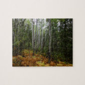 White Birch Trees and Herfst Ferns in Rocky Mounta Legpuzzel (Horizontaal)