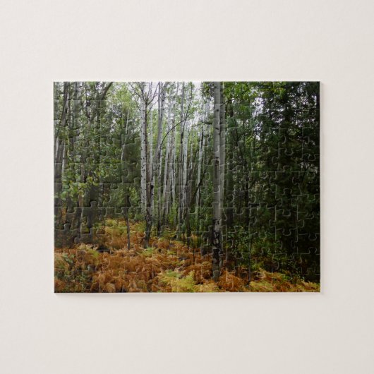 White Birch Trees and Herfst Ferns in Rocky Mounta Legpuzzel (Horizontaal)