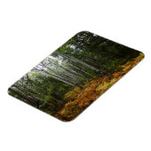 White Birch Trees and Herfst Ferns in Rocky Mounta Magneet (Linkerzijde)