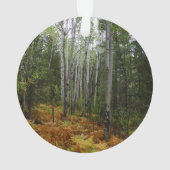 White Birch Trees and Herfst Ferns in Rocky Mounta Ornament (achterkant)