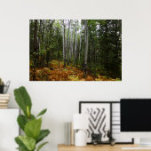 White Birch Trees and Herfst Ferns in Rocky Mounta Poster (Thuiskantoor)
