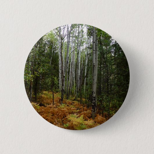 White Birch Trees and Herfst Ferns in Rocky Mounta Ronde Button 5,7 Cm (Voorkant)