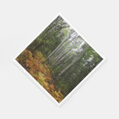 White Birch Trees and Herfst Ferns in Rocky Mounta Servet (Hoek)