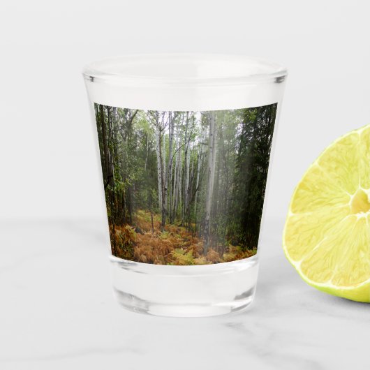 White Birch Trees and Herfst Ferns in Rocky Mounta Shot Glas (Voorkant)