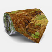 White Birch Trees and Herfst Ferns in Rocky Mounta Stropdas (Opgerold)