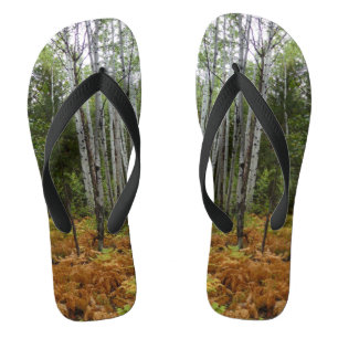 White Birch Trees and Herfst Ferns in Rocky Mounta Teenslippers