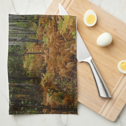 White Birch Trees and Herfst Ferns in Rocky Mounta Theedoek (Quarter Fold)